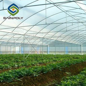 <strong>Hot</strong> Sale <strong>Film</strong> Green <strong>House</strong> Greenhouse Cheap Industrial Multi Span Greenhouse <strong>Plastic</strong> for Sale