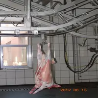 Halal Goat Ram Lamb Sheep Slaughter Plant