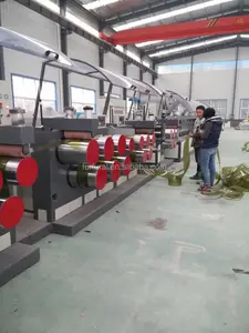 China Feito novo design para cama PET cinta fabricação planta cinta máquina PET cinta planta extrusora linha equipamentos