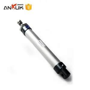 High quality stainless steel small pneumatic air cylinder