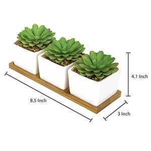 Artificiale Mini <span class=keywords><strong>Piante</strong></span> Succulente <span class=keywords><strong>in</strong></span> Piazza Bianco Vasi di <span class=keywords><strong>Ceramica</strong></span> - Product Image 2