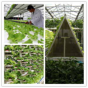 Chất dinh dưỡng thủy canh axit amin phân bón lỏng NPK <span class=keywords><strong>10</strong></span>-0-2 - Product Image 3