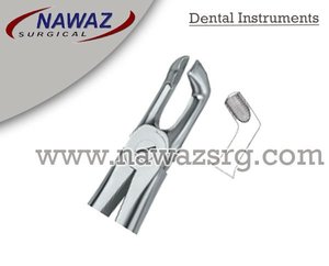 Pince à extraire les dents dentaires Fig79 A Top Meilleure qualité Produits avec logo personnalisé Instruments dentaires en acier inoxydable de haute qualité - Product Image 2