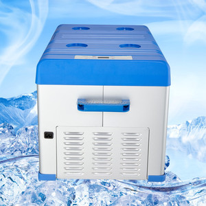 <span class=keywords><strong>Mini</strong></span> Refrigerador Del Coche Congelador <span class=keywords><strong>Nevera</strong></span> Portátil camping frider <span class=keywords><strong>nevera</strong></span> decorativos - Product Image 4