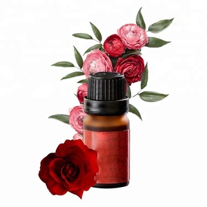 Venta Directa fragancia <span class=keywords><strong>ginseng</strong></span> y té verde aceite esencial - Product Image 3