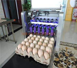 Máquina para Estampar Huevos con 6 Cartuchos de Tinta / Impresora de Huevos para 30000 Piezas / Máquina para Imprimir Fecha y Logotipo en Huevos - Product Image 3