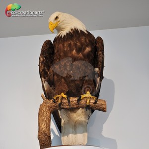 Animali di simulazione Animatronic Cina uccelli Modello di robot - Product Image 2