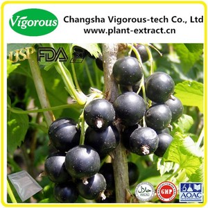Extracto <span class=keywords><strong>de</strong></span> Grosella Negra, Antocianinas para Suplementos Alimenticios - Product Image 4
