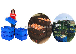 Panier en maille, caisse en plastique ventilée, caisse en plastique pour légumes, fabrication de caisses en plastique pour fruits, caisses en plastique pour légumes - Product Image 6