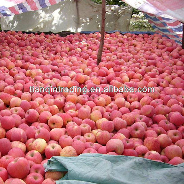 apple Fresh Red Fuji