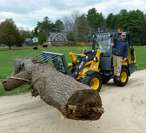 से और एपा मिनी व्हील लोडर 4x4 परकिन्स इंजन होफ्लाडर रेड्वालर 50 स्पष्ट लोडर - Product Image 2