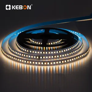 Vente chaude En Gros 12v 168 Led/m Smd 2835 Deux-tone Flexible Led Bande de Lumière