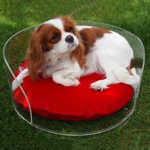 Cama de acrílico para perros y mascotas, cama de plástico acrílico transparente para gatos y mascotas, cama para perros bonita - Product Image 2