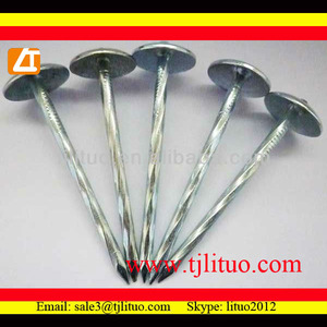 Fabbrica di buon prezzo del tetto del chiodo con la tazza rotonda made in china - Product Image 6