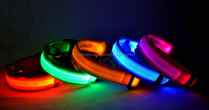 Wholesale Promotional electric choke mail dog harness Correa Led flashing necklace - Product Image 6