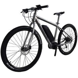 バファンG510モーターチタンマウンテンバイクフレーム電動自転車フレーム