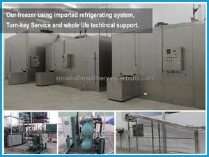 Frozen <span class=keywords><strong>concombre</strong></span> de mer congélateur, Industrielle rapide gel machine, Frais boeuf agneau Frozen machine - Product Image 4