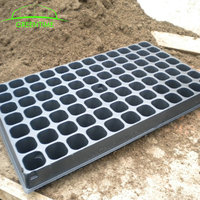 Plateau de Pépinière à 50 Alvéoles pour Semis de Tomates en Mini-Mottes, à Vendre