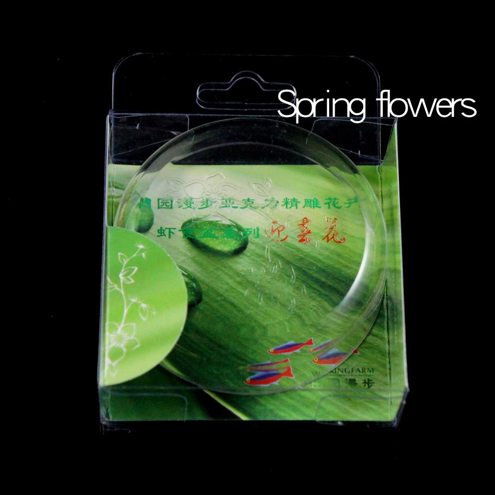 ดอกไม้ฤดูใบไม้ผลิ