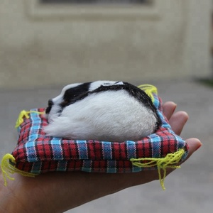 Impressionante Collezione Bella Mini Giocattolo Gatto Con Meow Suono - Product Image 4