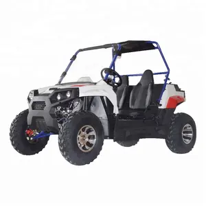 עוצמה זול 250cc למבוגרים UTV באגי למכירה