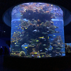 Custom Grote maat Acryl ronde <span class=keywords><strong>aquarium</strong></span> <span class=keywords><strong>aquarium</strong></span> met one-stop service - Product Image 1