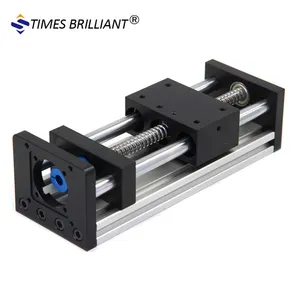 100mm Effective Length Rail way CNC Ball Screw Slide Linear Guide Motion Module For Engraving