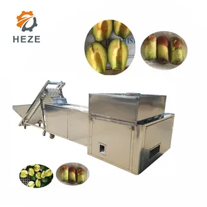 Máquina para eliminar semillas de aguacate, máquina para eliminar núcleo de aguacate y granos de aguacate