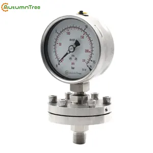 150mm Bottom Connection Pressure Gauge Diaphragm Seals,Gas Pressure Gauge Manometer