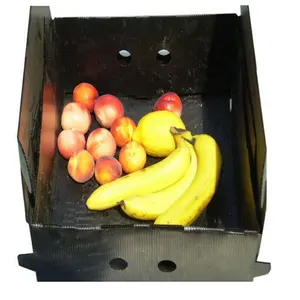 Hot Sale Corrugated Plastic Pet Carrier Pp Corrugated Box For Banana