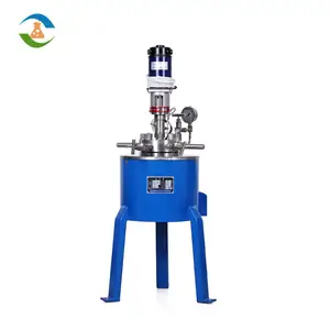 Small High Pressure Reactor Autoclave With Stirring For Lab