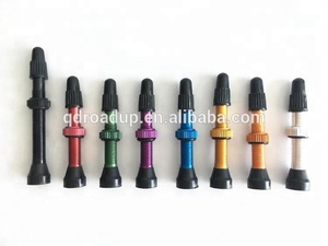 Roue Tubeless en alliage d'aluminium Tige de valve Presta pour kits de remplacement de vélo
