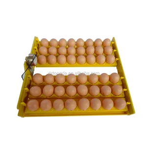 Incubadora de ovos de galinha TD-48, à venda