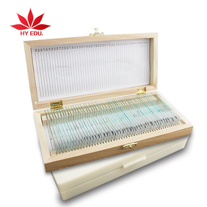 학생 현미경 슬라이드 옥수수 잎의 아래쪽 표피 W.M. 식물성 교육 준비 슬라이드 판매 - Product Image 6