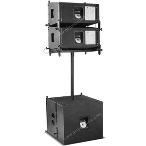 Вера 10 линейного массива с двумя 10-дюймовый линейного массива колонки - Product Image 1