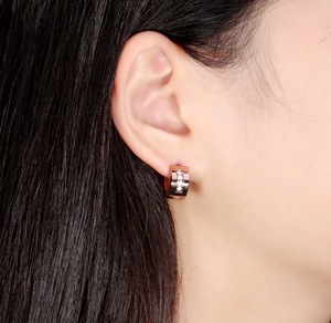 Wholesale <strong>Small</strong> Size <strong>Silver</strong> 316L Stainless Steel Earrings Fine <strong>Hoop</strong> Style for Women Zircon Decorated - Product Image 5