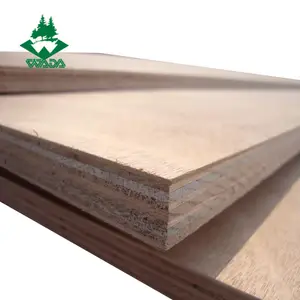 Hot selling products malaysian plywood 18mm for decoration