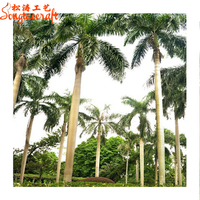 Tous types d'arbres fruitiers tropicaux à feuilles persistantes, palmier cocotier artificiel géant d'extérieur, plantes de Dubaï à vendre