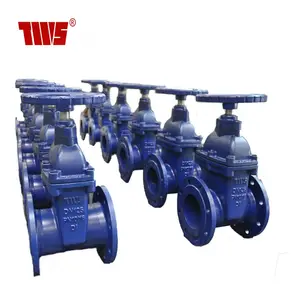 Non-rising stem Resilient flanged gate valve