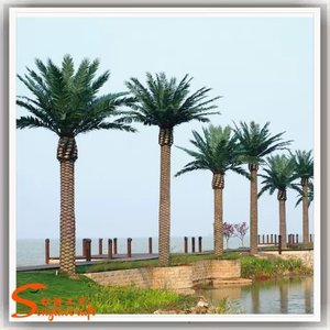 Songtao artificielle canari <span class=keywords><strong>palmier</strong></span> à vendre artificielle date <span class=keywords><strong>palmier</strong></span> dubaï en plein air arbre - Product Image 6