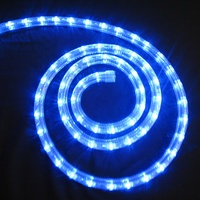 Corde de lumière LED, 2 fils, ultraléger, CE, GS, RoHS, nouveau