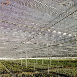 de alta calidad <span class=keywords><strong>sombra</strong></span> neto fábrica de <span class=keywords><strong>malla</strong></span> <span class=keywords><strong>sombra</strong></span> agrícolas - Product Image 5