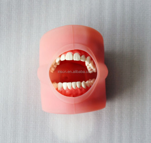 Costo effictive cabeza fantasma simulador Dental Nissin maniquí con transparente - Product Image 2