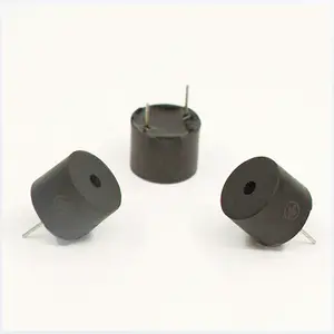 Hot Sale Active 12V Buzzer 1295 Buzzer Type Mini Recordable Sound Modules