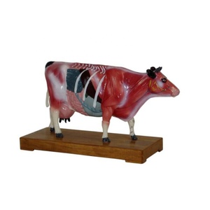 Yüksek Kaliteli Sığır Akupunktur Modeli gelişmiş plastik tıbbi hayvan vücudu akupunktur modeli Inek Sığır Akupunktur Modeli - Product Image 2
