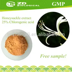 Chino flor de la madreselva bud y extracto de 10%- 98% el ácido clorogénico