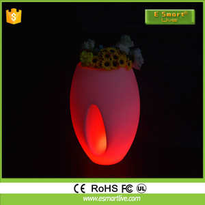 Coloreado y hermoso flor maceta/LED planta florero - Product Image 4