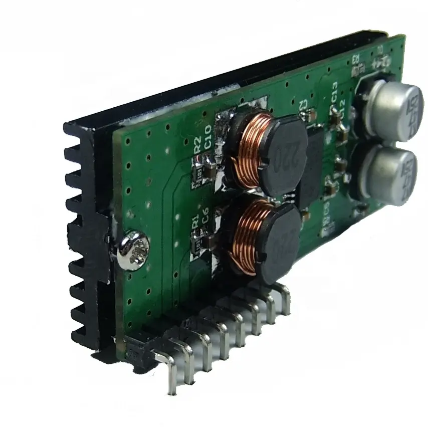 Taidacent Disesuaikan 1 Channel Kelas D/Kelas AB Power Amplifier BMA12125 24V Power 50W Mono Kelas D monoblock Amplifier