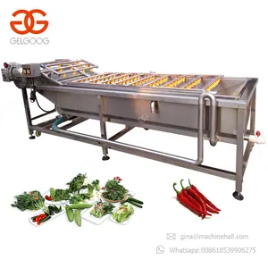 Chinese Multifunction Commercial Small Tomato Leafy Vegetable Mushroom Fruit Washer Shrimp Cleaning Melon Citrus Washing Machine