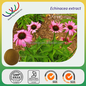 Muestra gratis haccp fda <span class=keywords><strong>echinacea</strong></span> <span class=keywords><strong>purpurea</strong></span> kosher, extracto puro <span class=keywords><strong>natural</strong></span> 4% 8% compuestos fenólicos - Product Image 1